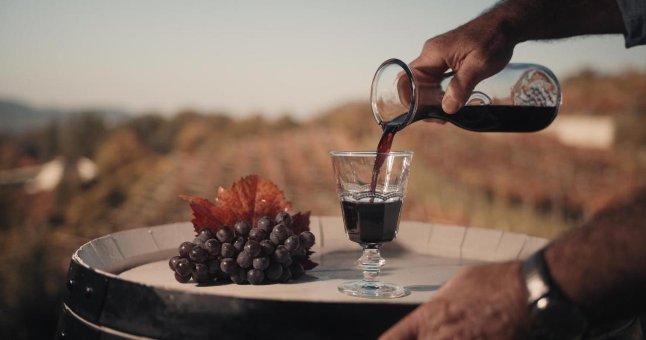 Tomaj Skerlj Wine Estateゲストハウス エクステリア 写真