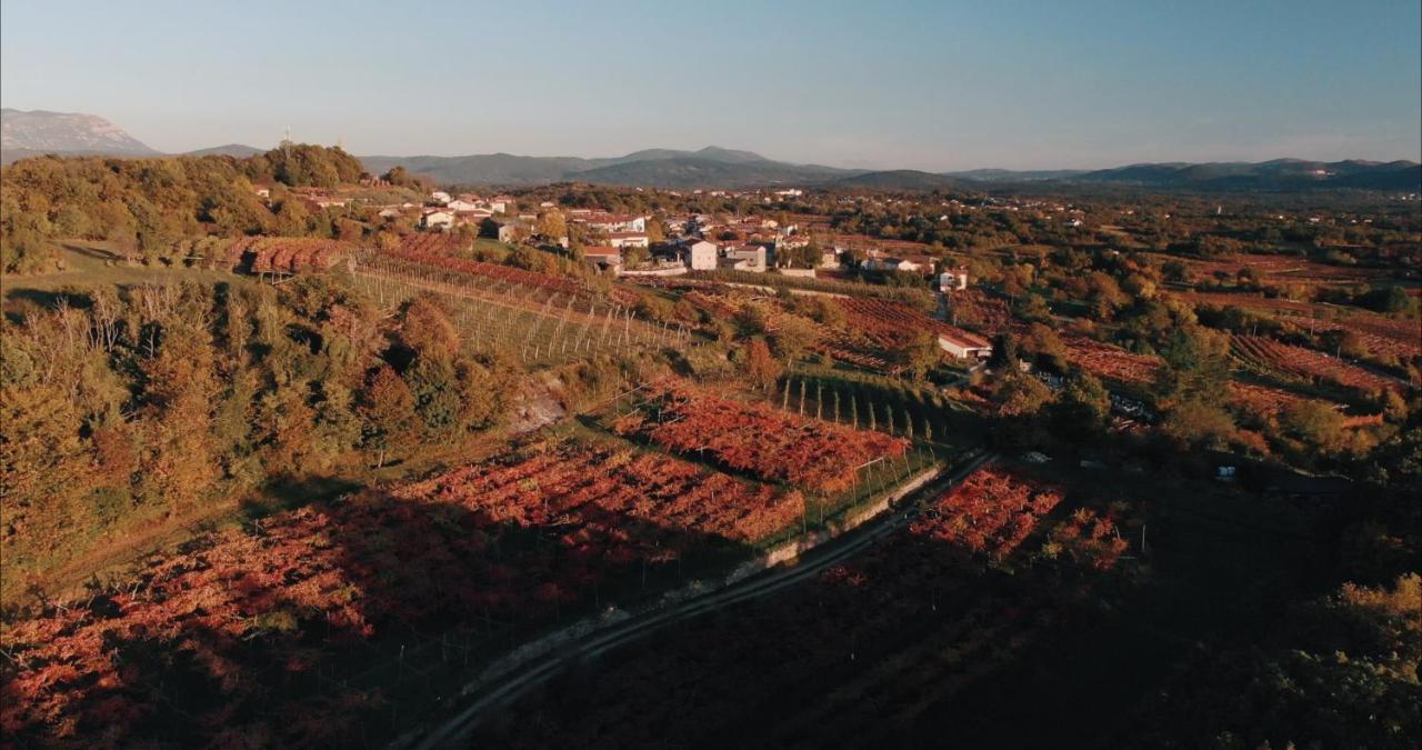 Tomaj Skerlj Wine Estateゲストハウス エクステリア 写真