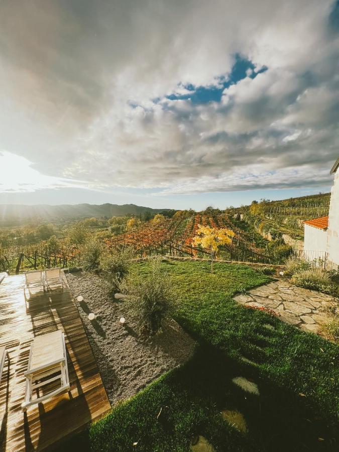 Tomaj Skerlj Wine Estateゲストハウス エクステリア 写真